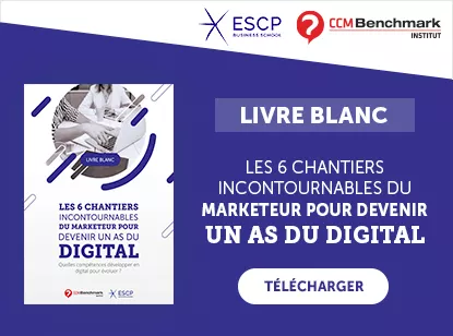 Livre blanc Marketing Digital