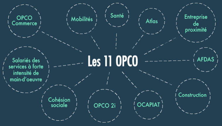11 OPCO