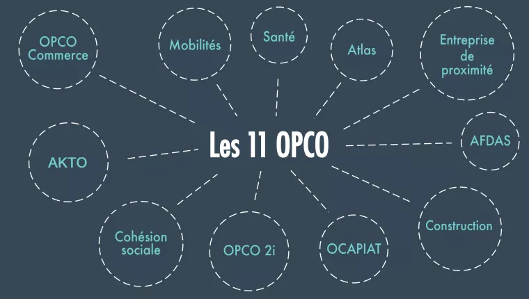 11 OPCO